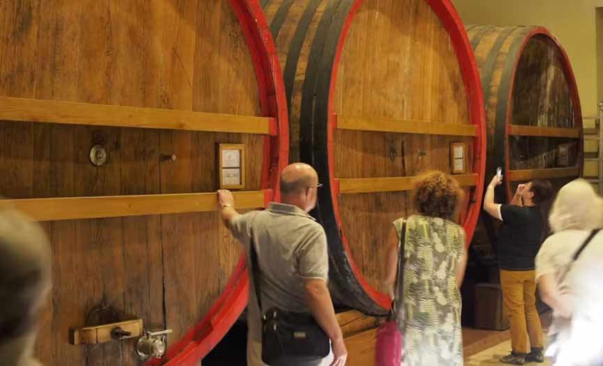 Biglietti Tour privato della Valpolicella con degustazione di olio d'oliva Verona